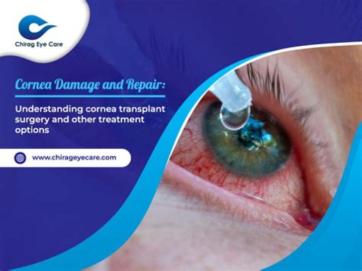 Can a damaged cornea repair itself?