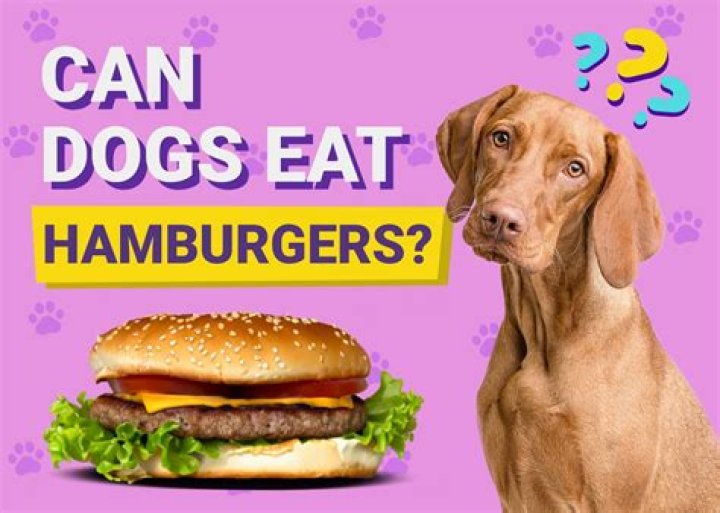 Can dogs eat hamburger?