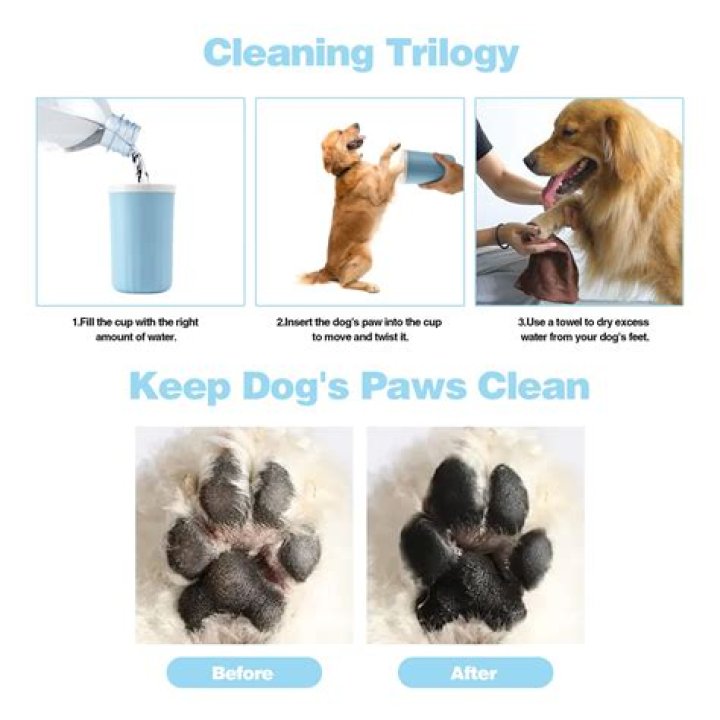 How do you keep white dogs paws clean?