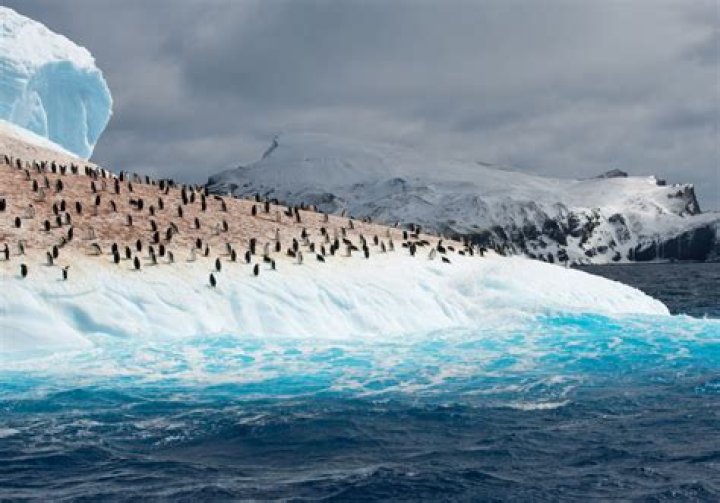 What's the warmest it gets in Antarctica?