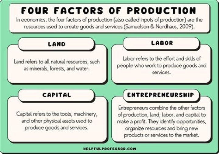 What are the 4 types of economics?