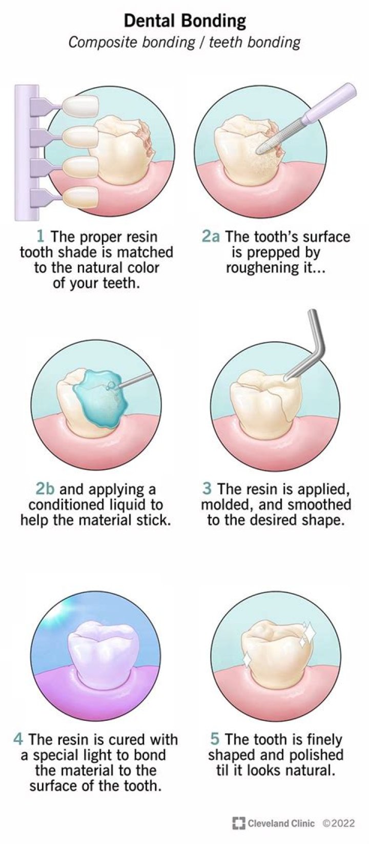 What are the 5 bonding stages for a man?