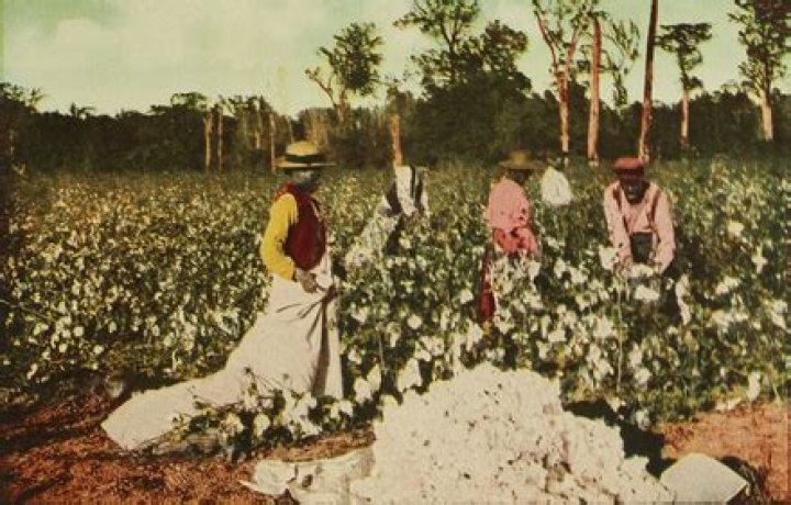 What did slaves do when cotton was not in season?