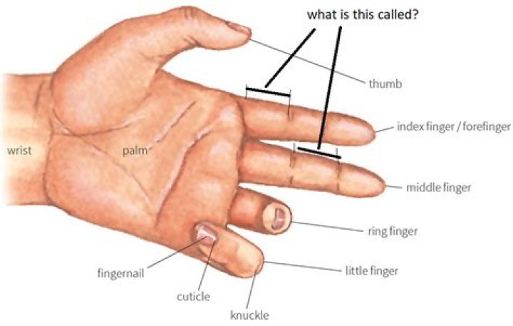 What does the middle finger mean in Russian?