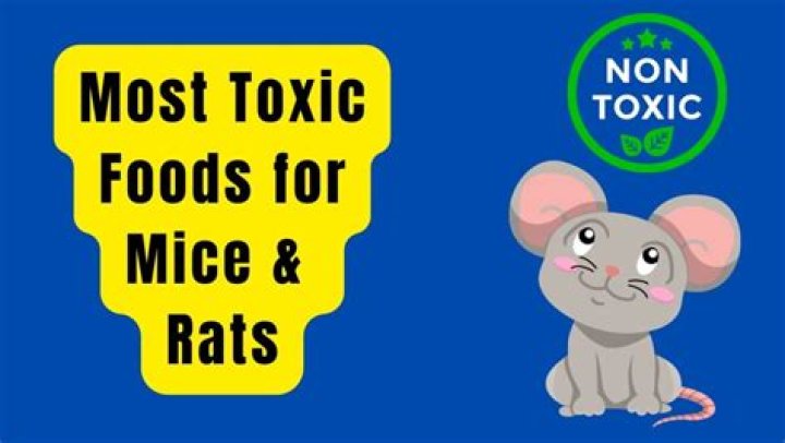 What foods are poisonous to rats?