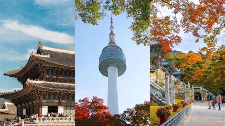 What is best friend in South Korea?