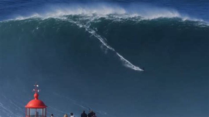 What is the tallest wave ever reported?