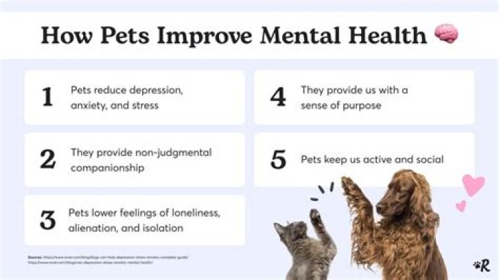 What pets are good for dementia patients?